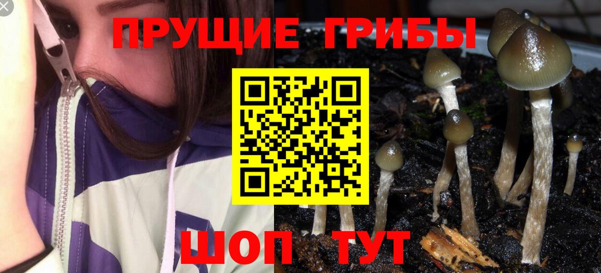 Галлюциногенные грибы ЛСД  Вход с VPN  где купить   Псилоцибиновые грибы Psilocybine cubensis  Арзамас 